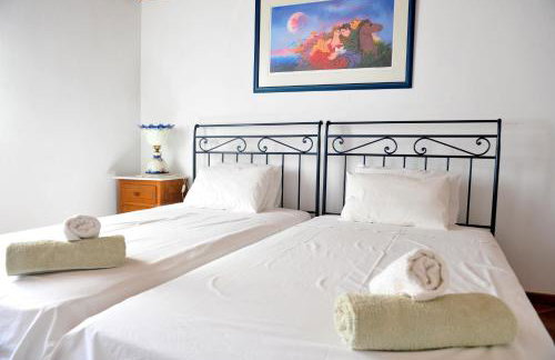 Hydra Erato - Foto 68