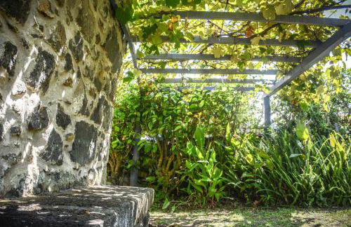 Quinta dos Frutos - Foto 9