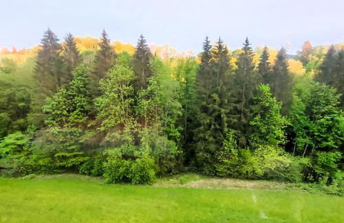 Haus Seidelbast - Foto 17