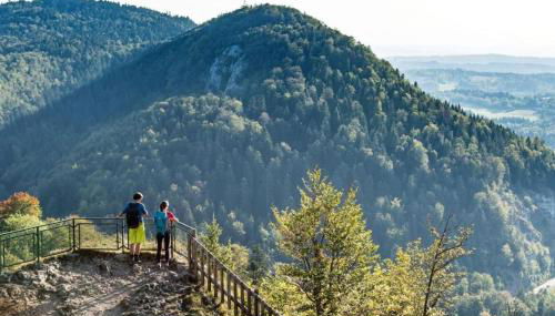Magnifique T2 -Au creux du Jura- Saint Claude - Foto 4