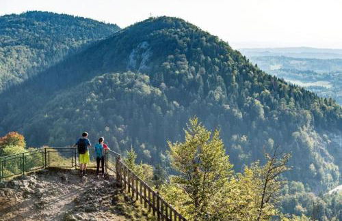 Magnifique T2 -Au creux du Jura- Saint Claude - Foto 4
