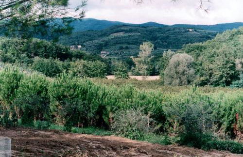 Agriturismo Campo del Monte - Photo 29