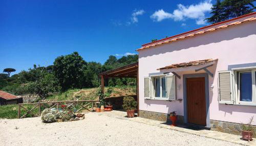 Albero di Giada - Foto 5