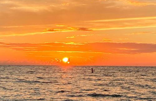 Sunsets and Dolphins - Foto 36