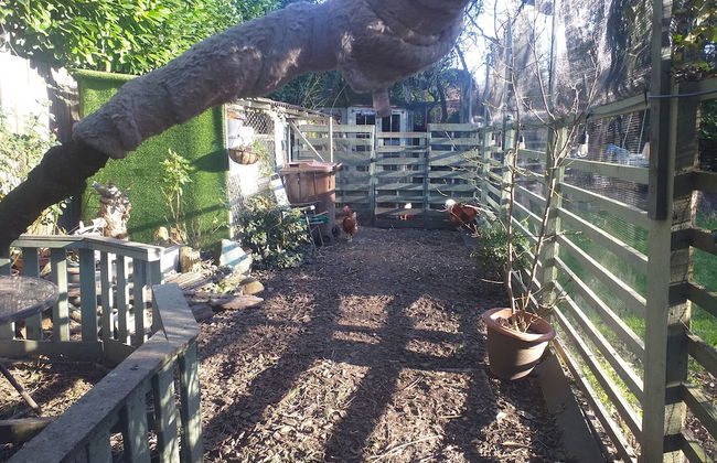 House - Sleeps 2, pet Friendly & Free Parking - Foto 18