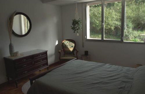 Primero Seixo antiguo - Foto 27