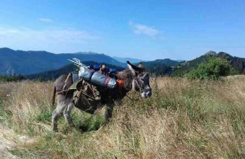 Maison de charme Haut-Jurassienne - Foto 47
