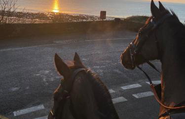 Adorable bedsit for you, partner and your pet! - Foto 53