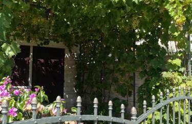 SUMMER TIME - Photo 33