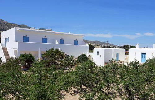 Flora Apartments - Photo 15