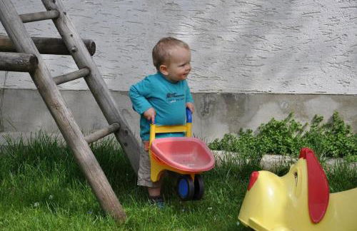 Ferienhof Guglhupf - Foto 54