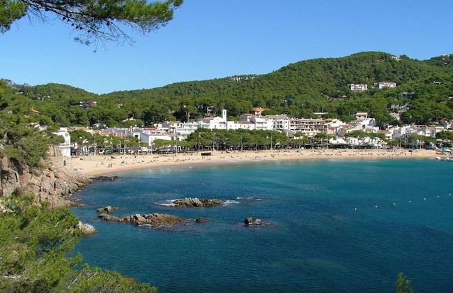 104685 - Apartment in Llafranc - Foto 14