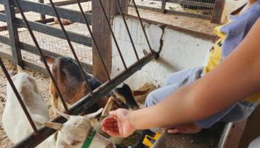 Flat Monte Castelo - Comodidade incrível 2 - Photo 2