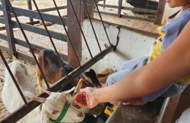 Flat Monte Castelo - Comodidade incrível 2 - Foto 2