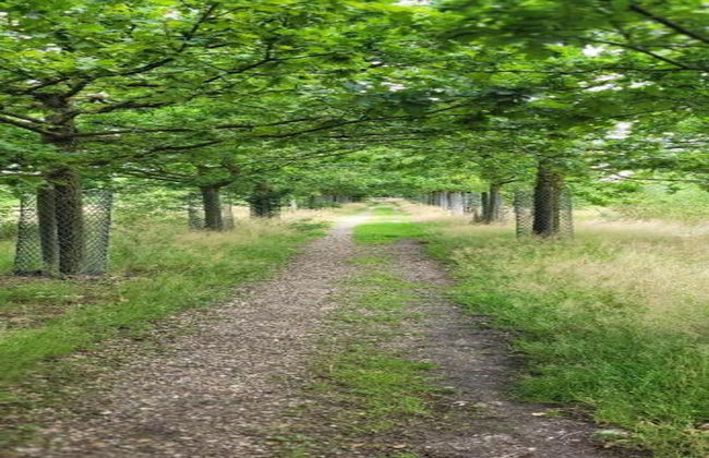 Holiday Home in Brabant With Private Spa - Photo 38