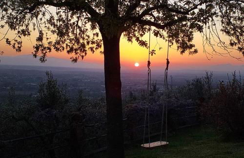 Poggio Leporaia - Foto 15