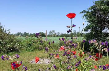 Am Achterwasser DORF 12 - Foto 59