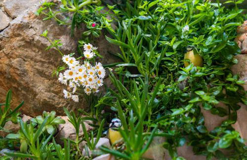 Holiday Home Paradise Beach - Foto 14