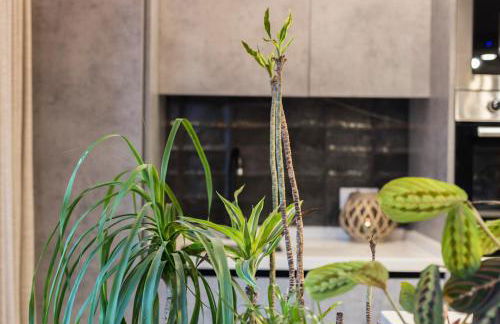 Good times Sevilla - Foto 20