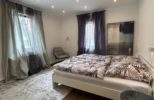 Nibelungen 4 Zimmer Apartment - Foto 3