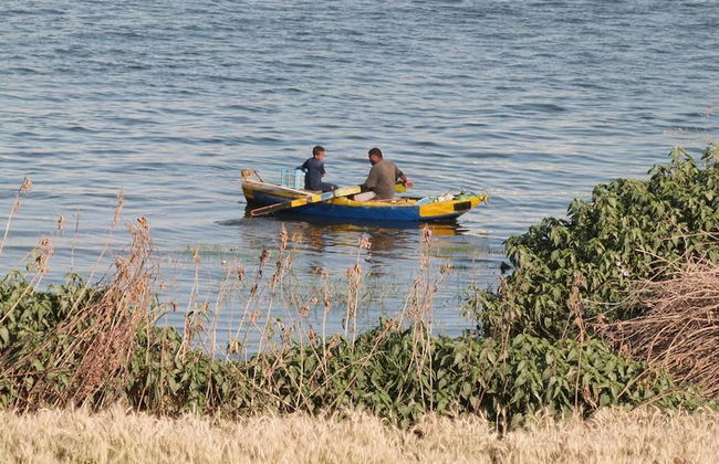 Luxor Plaza House - Foto 21