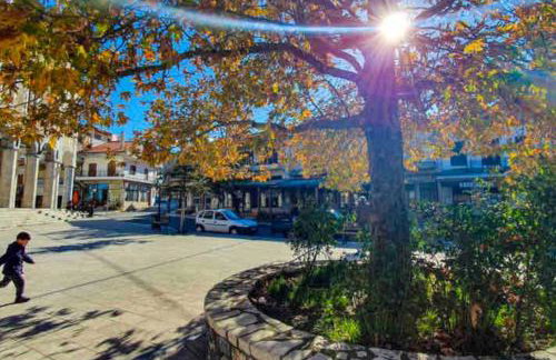 1924 Studios 1 - Photo 43