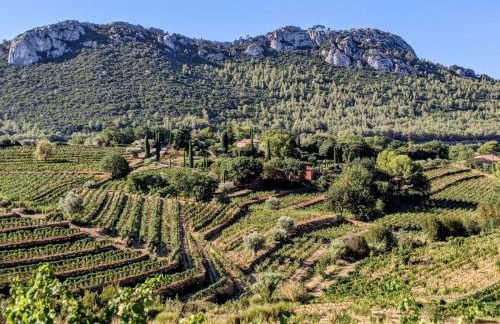 Escapade à Bandol balcon verdoyant et plage à deux pas - Foto 20