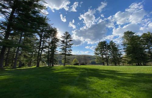 TymeoffVT cabin in the woods - Hot Tub , EV chg - Foto 30
