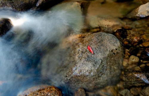 Chalé Flores e Amores - Photo 59