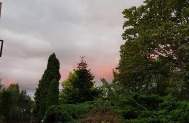 Domek w otulinie Wigierskiego Parku Narodowego - Foto 12