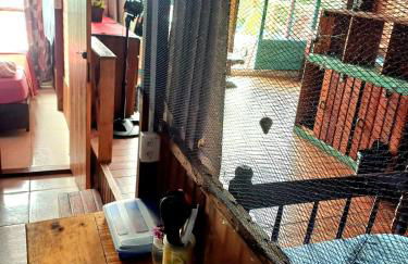 Monalisa Florianópolis - Foto 15