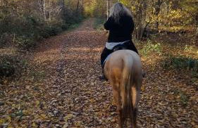 Forsthäuschen am Ponyhof - Foto 8