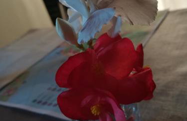 La Calletta - Foto 35