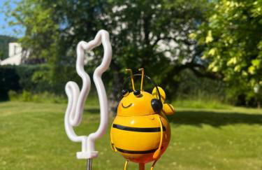 FEWO-ATLANTA Reinhardshausen - Foto 25