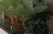 Senia Studios - Foto 24