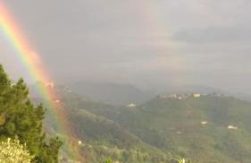Le Donne di Bargecchia - Foto 31