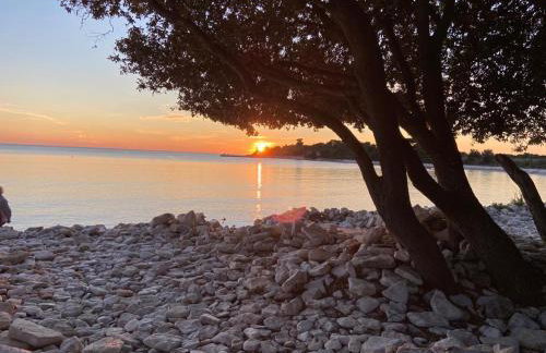 Apartment Enis - Photo 46