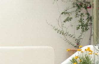 Aktio Studios - Foto 25