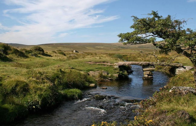 Lovely Stunning 2-bed Cottage in Torquay - Foto 24
