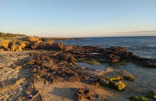 villa,Salentina, vista mare - Foto 24