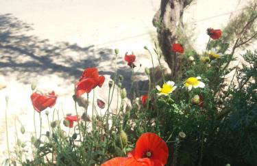 New Sea Escape Boutique Apt-Agii Aposto li beach - Foto 57