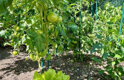 Matxiku Aurre - Foto 34