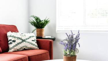 Family Renovated Home, Netflix, AC, WD, Putt Putt - Foto 4