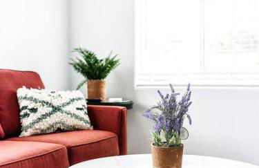 Family Renovated Home, Netflix, AC, WD, Putt Putt - Foto 4