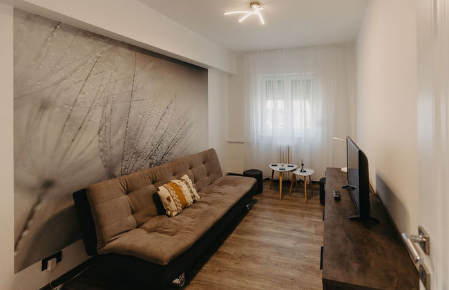 1BDR Central Apartment in Arad - Foto 30