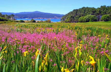 Casa Playa de Balares - Foto 25