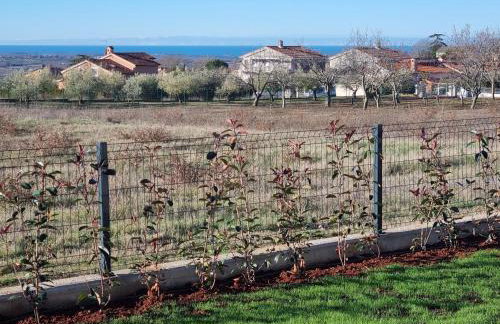 Villa Robert Kastelir - Foto 49