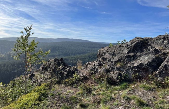 Tannenausblick Schmidt - Foto 7