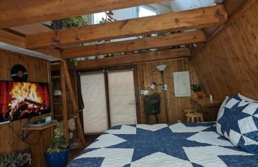 Plant House - Foto 6