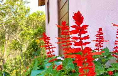 Casa Lilás no Vale do Capão - Foto 35